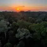 iCS e fundação de Bezos lançam edital para financiar projetos na Amazônia Legal