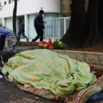 País do Dia dos Vira-latas agora oficializa o ‘Dia do Mendigo’ 
