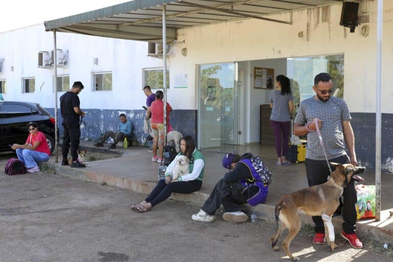 Hospital Veterinário Público do DF registra 10 mil atendimentos no 1º semestre de 2025
