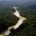 COP 30: Instituto Arayara abre inscrições para Amazon Climate Hub