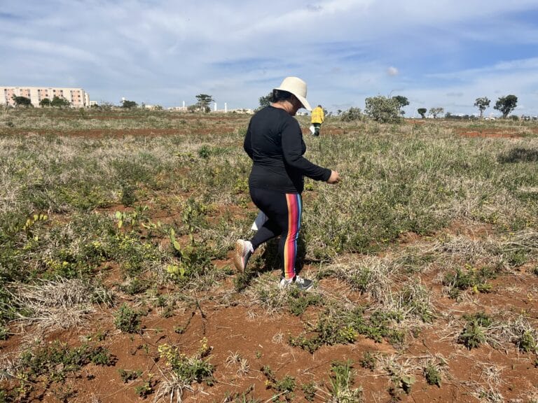 GDF inicia restauração de área degrada do Parque Ecológico do Riacho Fundo