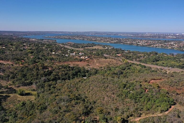 GDF fará plantio de 22 mil mudas nativas do Cerrado na Serrinha do Paranoá