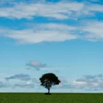 Cosvar Agro retoma posse na Bahia e prova legalidade da terra