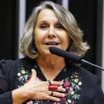 Feirantes recorrem à deputada do PT sobre fiscalização abusiva do Ibama