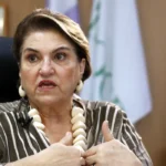 Ministra das Mulheres incentiva ataque com fake news contra vice de Flávio
